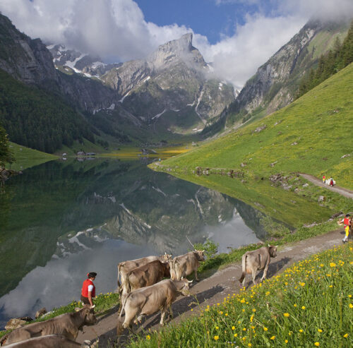 00 Alpfauffahrt Seealp 2 Christof Sonderegger WEB